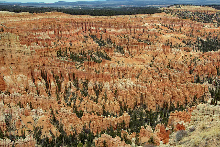 Hoodoo Valley 2 Photograph by Daniel B Smith - Fine Art America