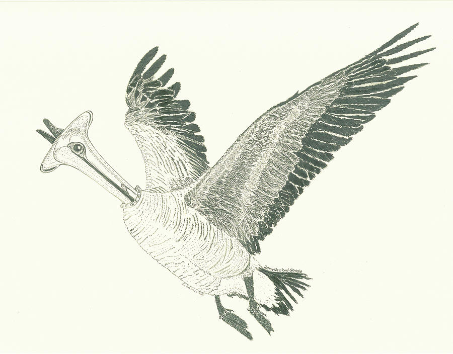 Horn Necked Goose #1 Digital Art by Jenny Armitage