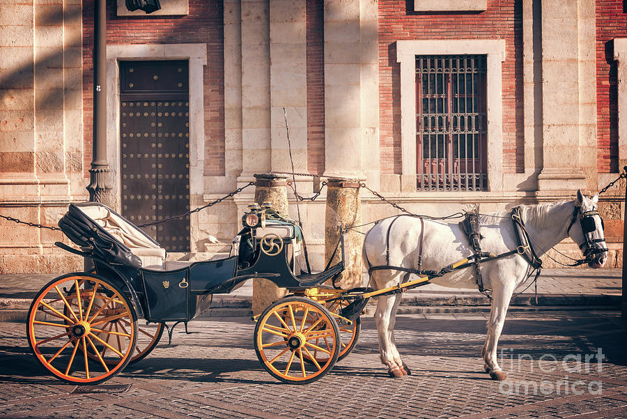 Horse carriage in Seville Photograph by Delphimages Photo Creations