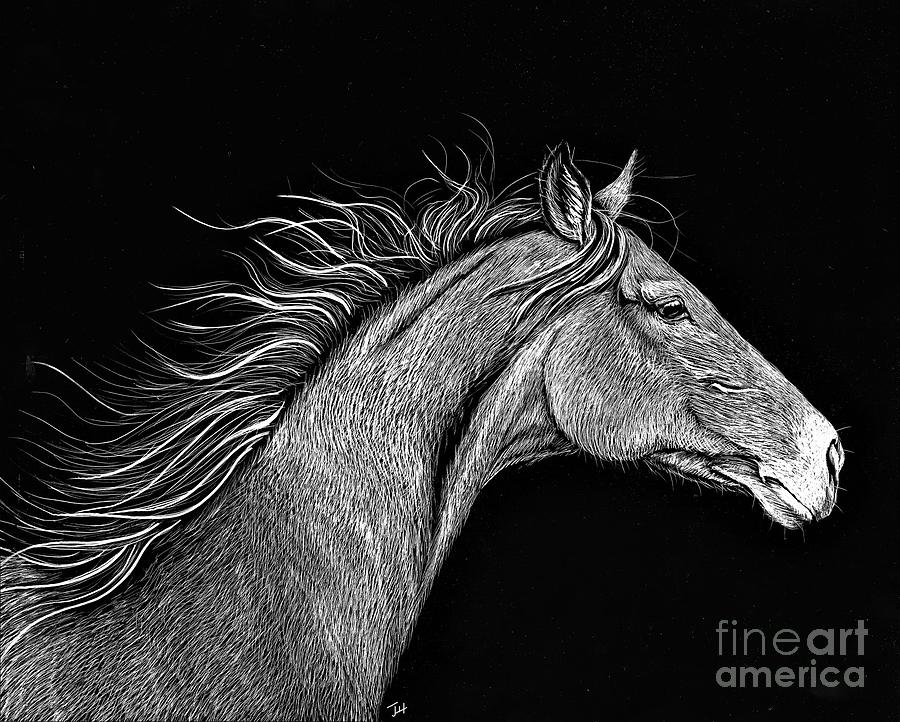 Black And White Drawing - Horse Etch #1 by Jennifer Jeffris