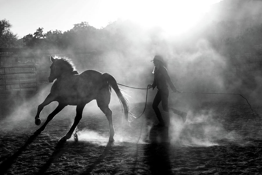 Horse Trainer #2 Photograph by Jerry Cowart