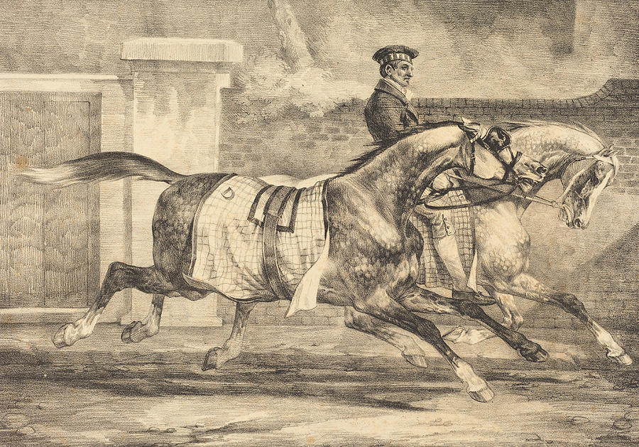 Horses Exercising #1 Drawing by Theodore Gericault