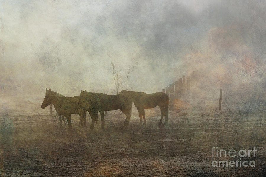 Horses In Morning Fog Digital Art
