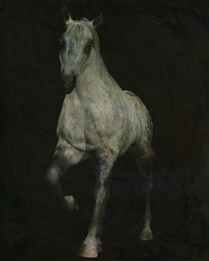 Horses -White horse doing dressage exercise #1 Painting by Jan Keteleer