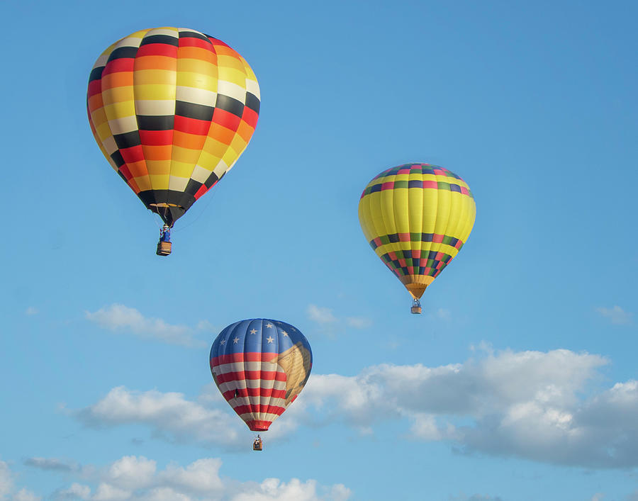 Summer Photograph - Hot Air Balloons #2 by Eleanor Bortnick