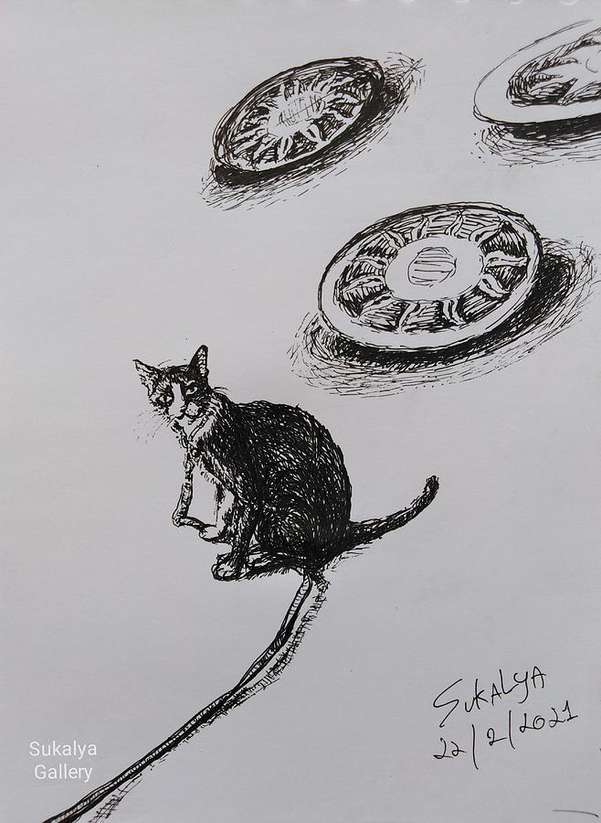 1 Hr., In Prison Of a Noughty Cat On a Sunny Day Drawing by Sukalya Chearanantana