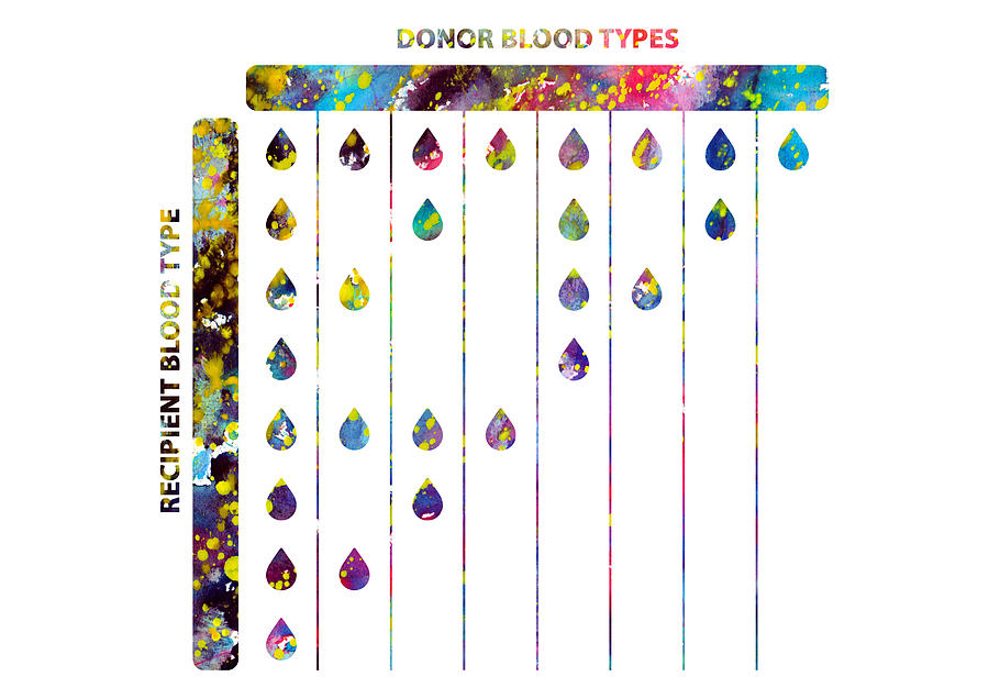 human-blood-donor-compatibility-chart-digital-art-by-erzebet-s-fine-art-america