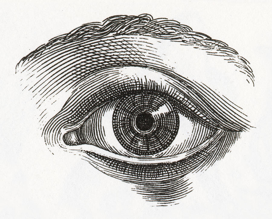 Human Eye Engraving #1 Drawing by Bauhaus1000