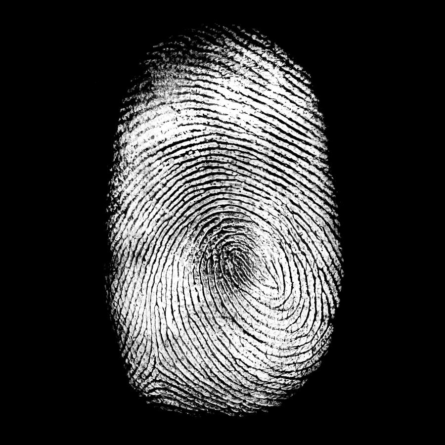 Human Fingerprint #1 Photograph by MirageC
