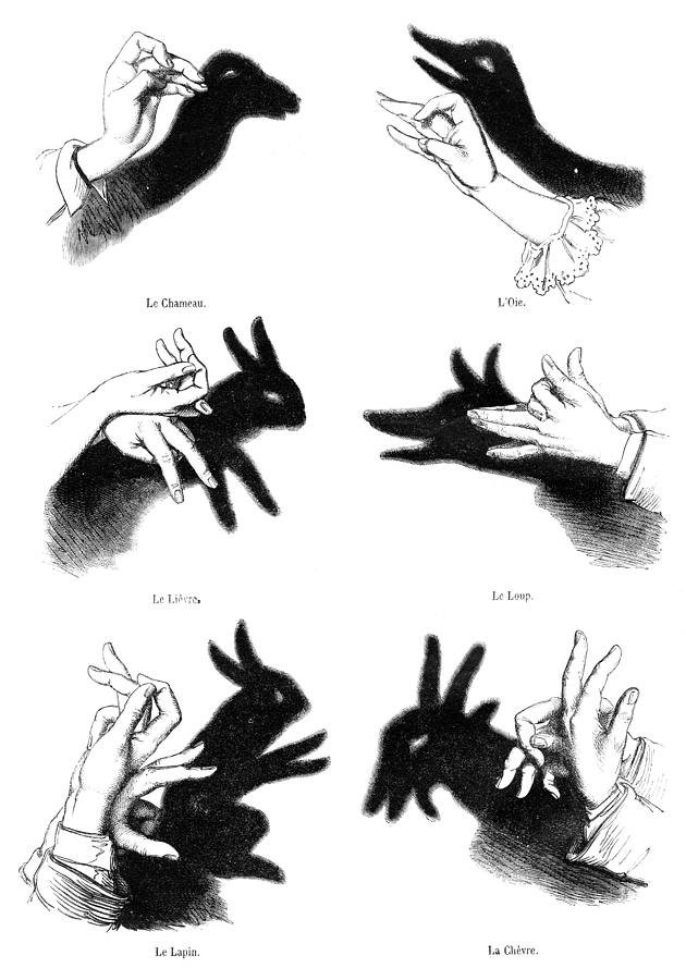 Human hands playing shadow play illustration 1861 #1 Drawing by Grafissimo
