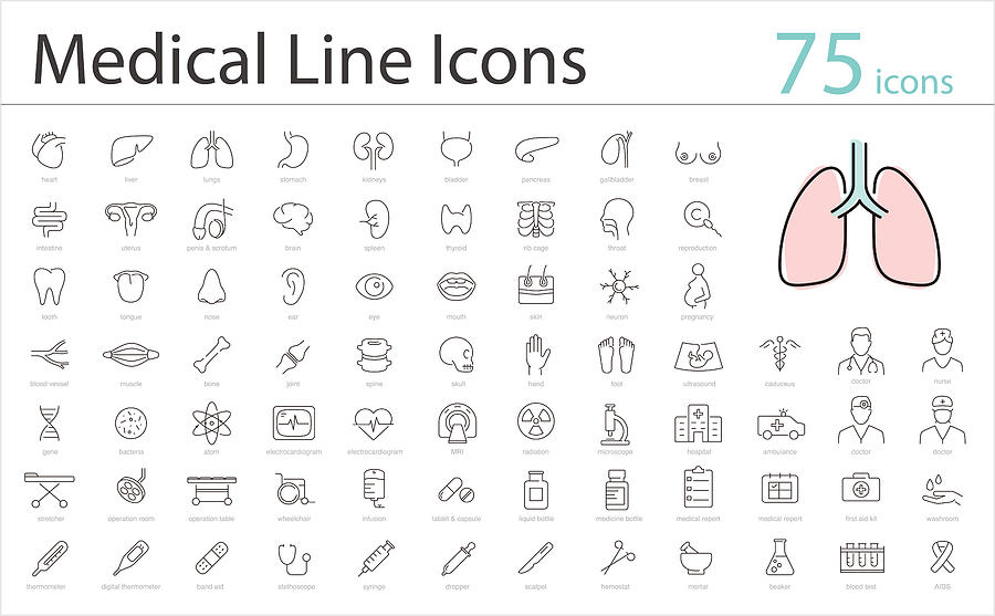 Human Organs icon set, medical icons, vector illustration Drawing by Hakule Human Organs icon set, medical icons, vector illustration Drawing by Hakule