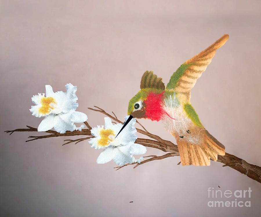 Humming Bird Digital Art