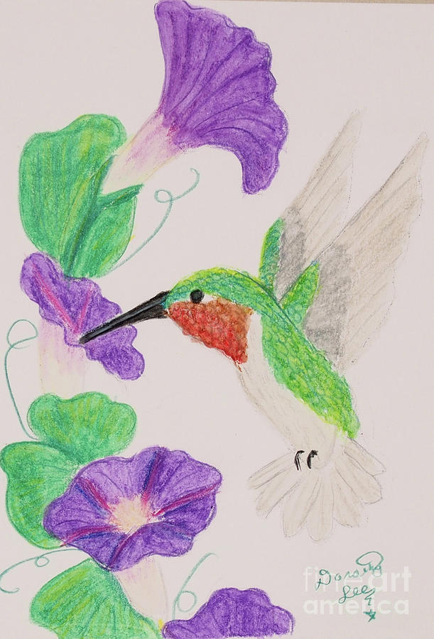 Hummingbird And Morning Glories #2 Painting by Dorothy Lee