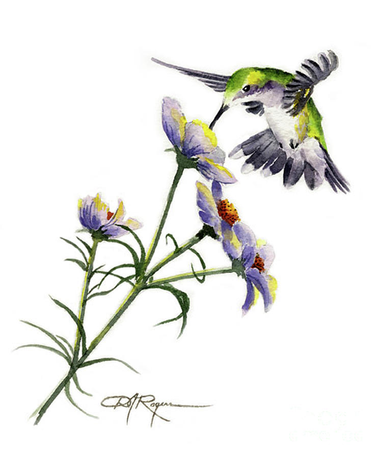 Hummingbird Painting - Hummingbird #1 by David Rogers