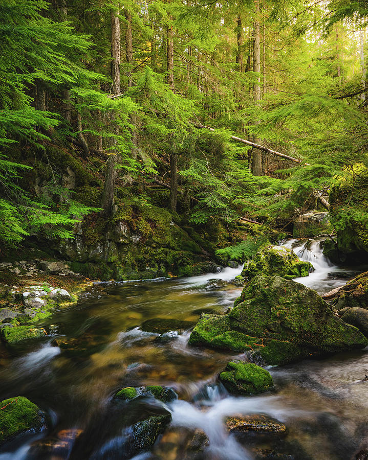 Hunt Creek, Idaho Photograph by Miles Bergsma - Fine Art America