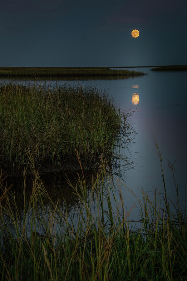 Hunter's Moon Photograph by Rex Adams - Fine Art America