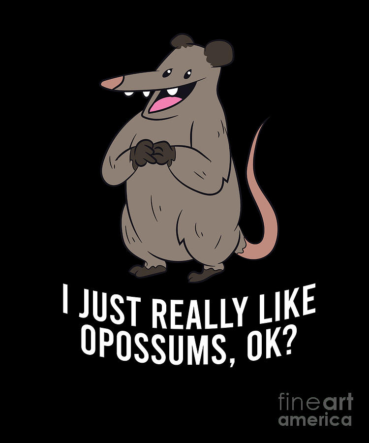 I Just Really Like Opossums Ok Funny Opossum Digital Art by EQ Designs