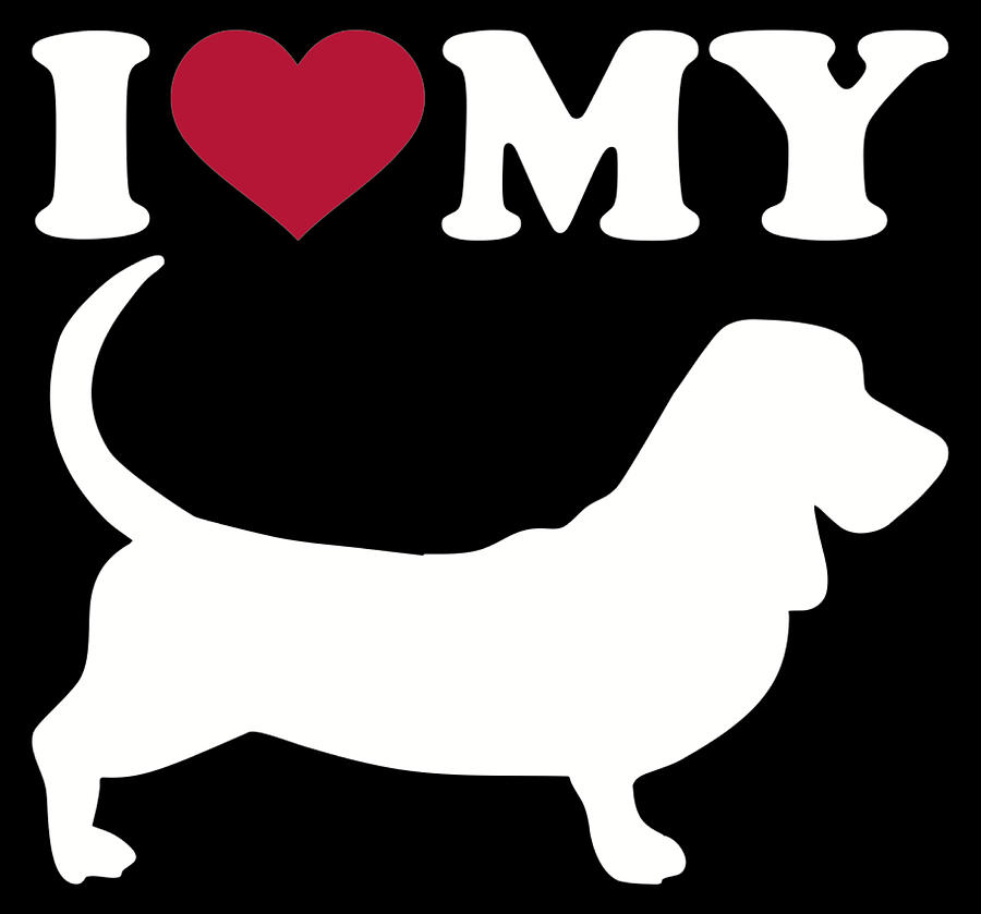 are basset hounds loving