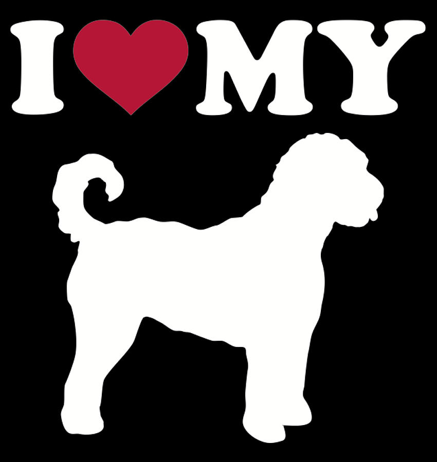 My goldendoodle hot sale