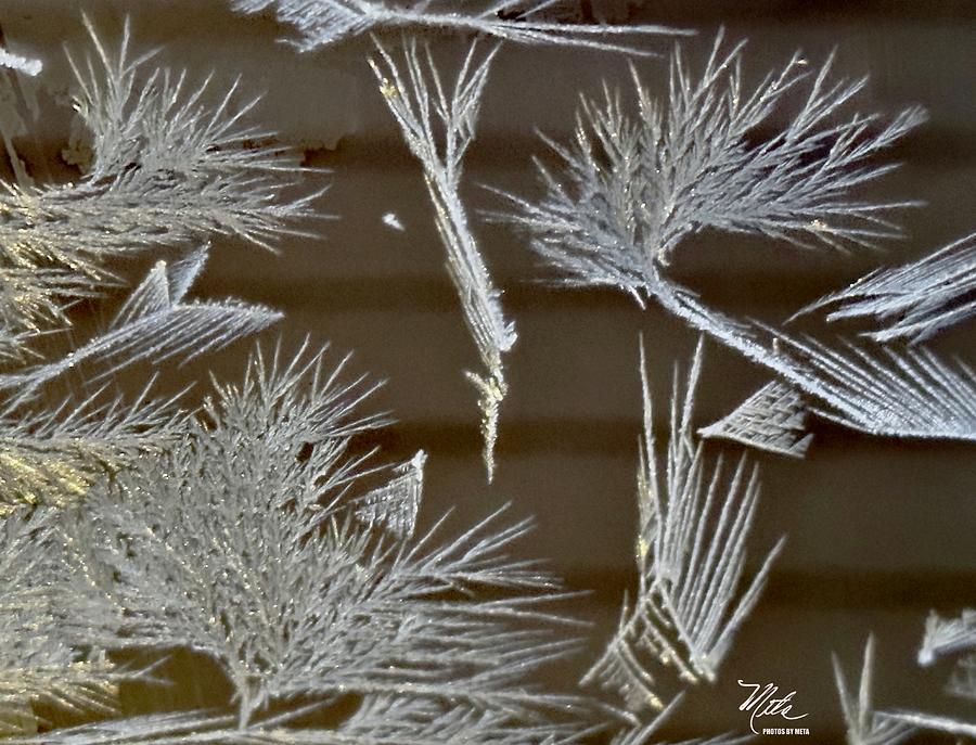 Ice crystals Photograph by Meta Gatschenberger