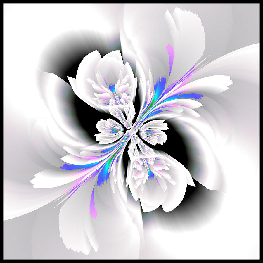 Ice Flower Digital Art by Steve Solomon