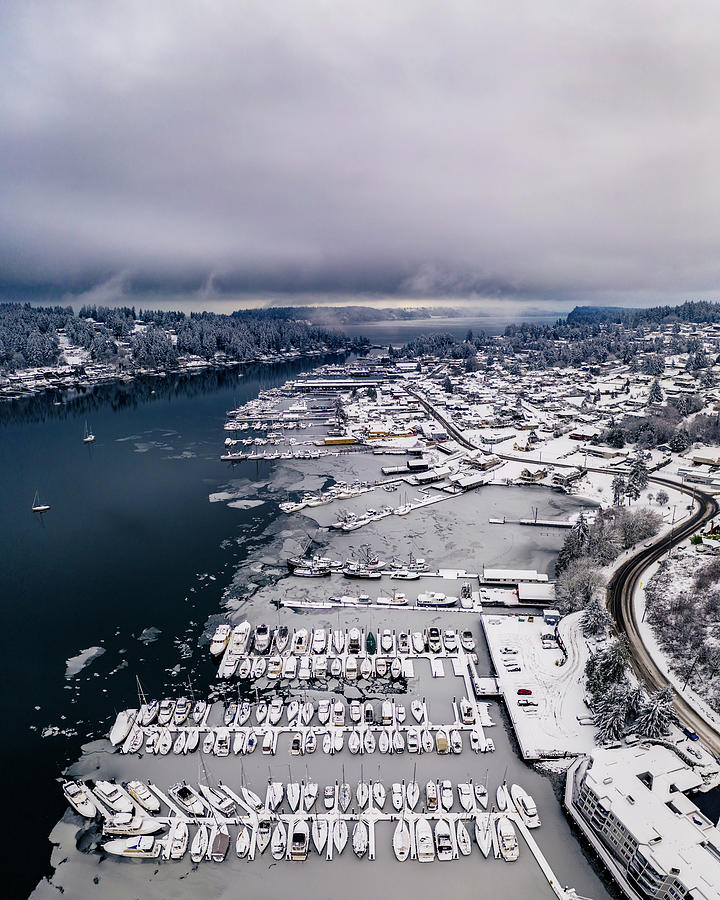 Icy Harbor Photograph