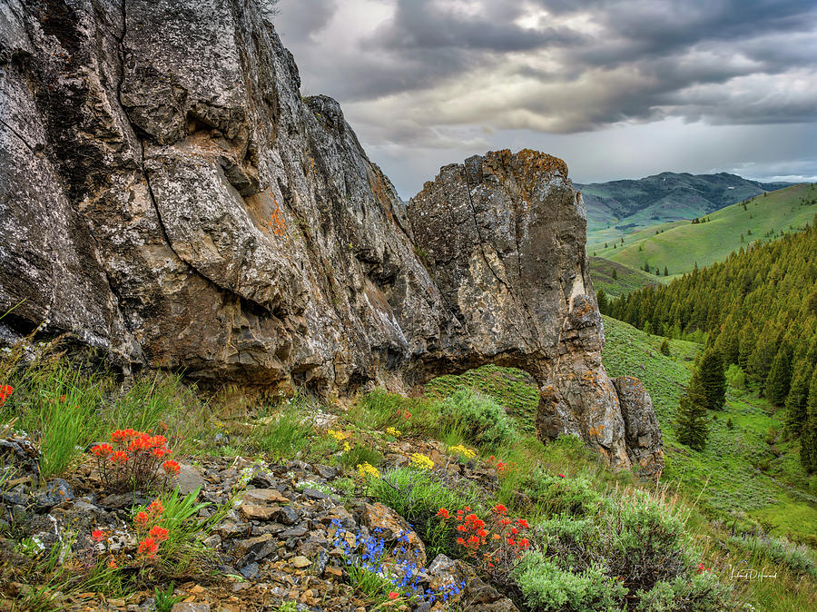 Nature Photograph - Idaho Mountain Spring #1 by Leland D Howard