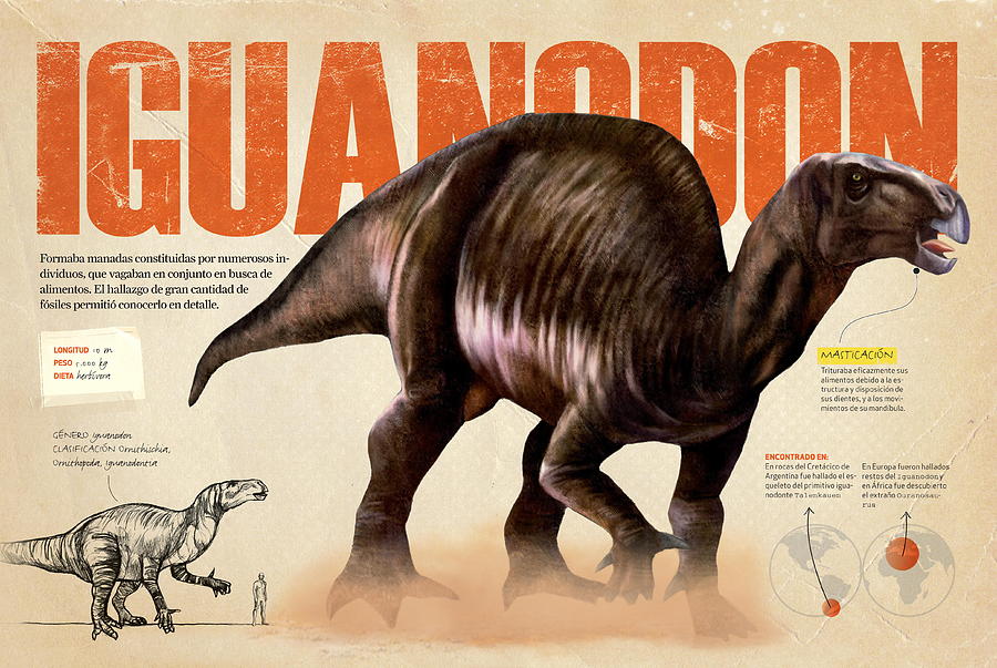 Iguanodon #1 Digital Art by Album