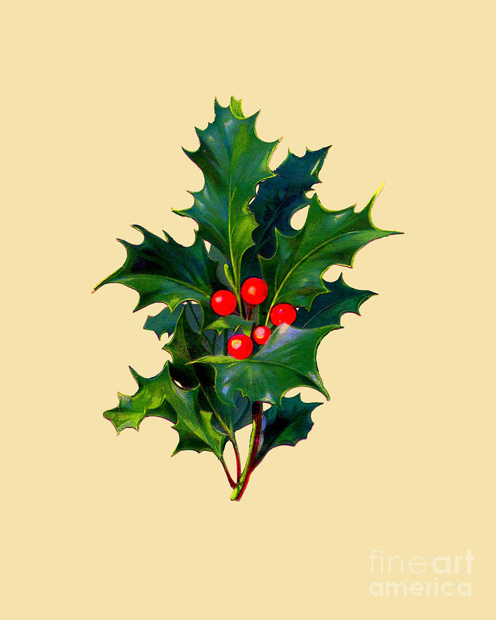 Nature Digital Art - Holly With Berries by Madame Memento