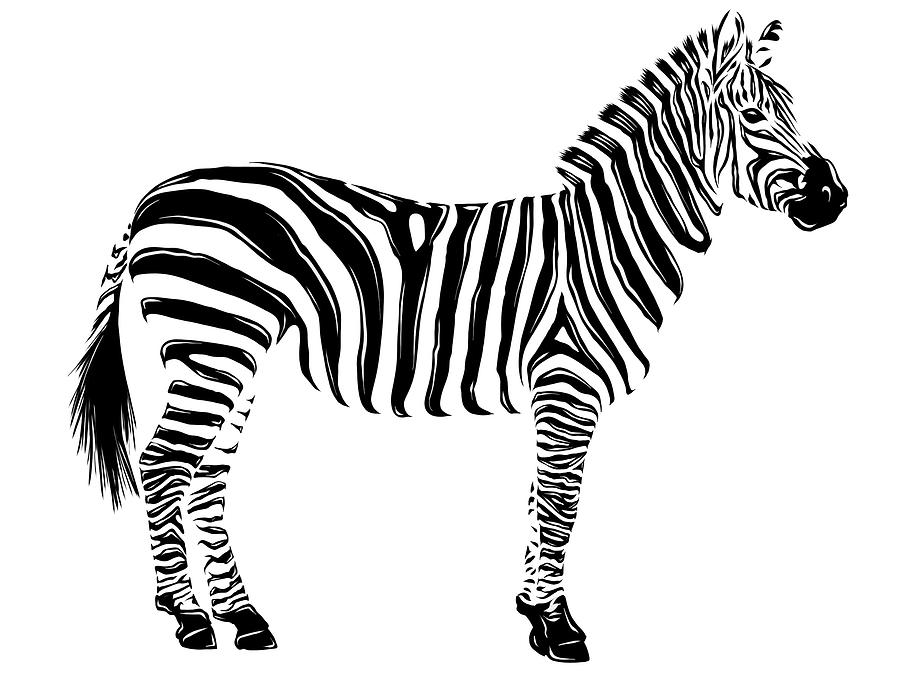 Illustration White And Black Animal Zebra White Background Digital Art by  Dean Zangirolami - Pixels