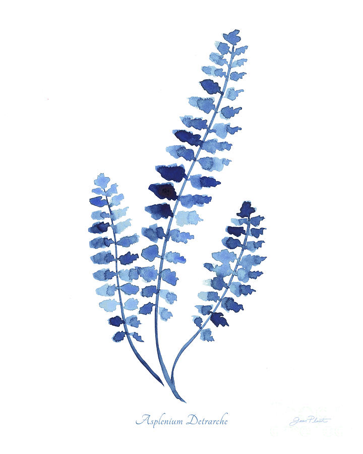 Indigo Botanical 3 Painting by Jean Plout