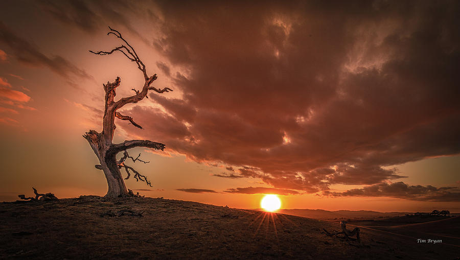 Sunset Photograph - Intensity #1 by Tim Bryan