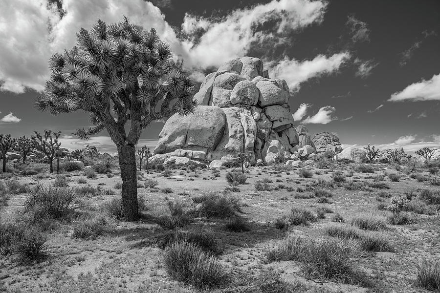 Intersection Rock - Black and White Photograph by Peter Tellone