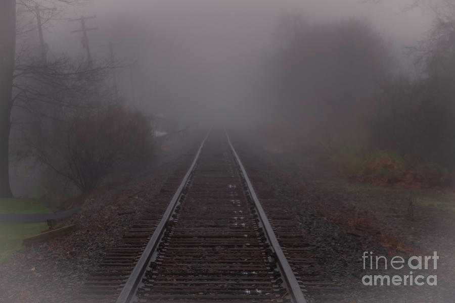 Into the Fog #1 Photograph by William Norton