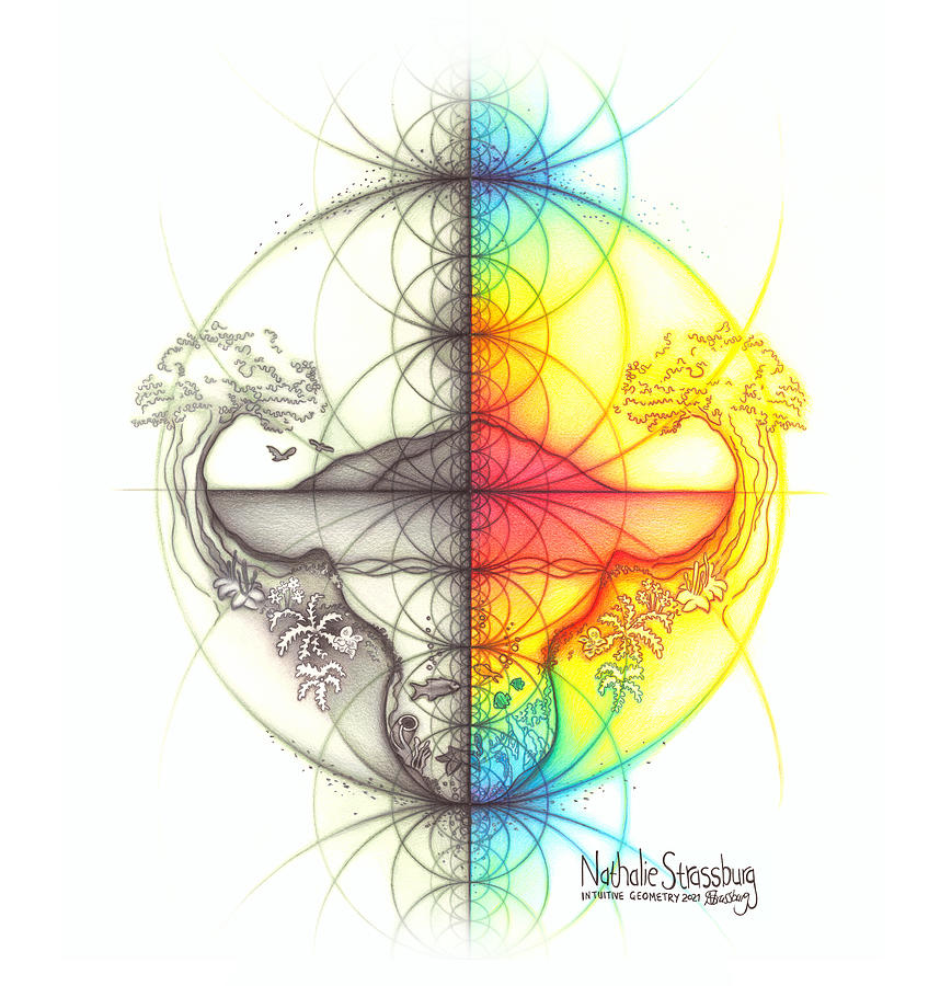 Intuitive Geometry Spectrum Earth Theme #1 Drawing by Nathalie Strassburg