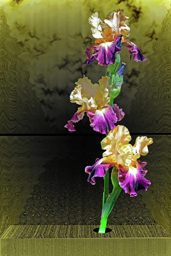 Iris Exotique #1 Photograph by Richard Risely