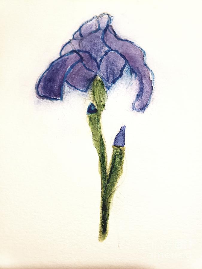 Iris #1 Painting by Margaret Welsh Willowsilk