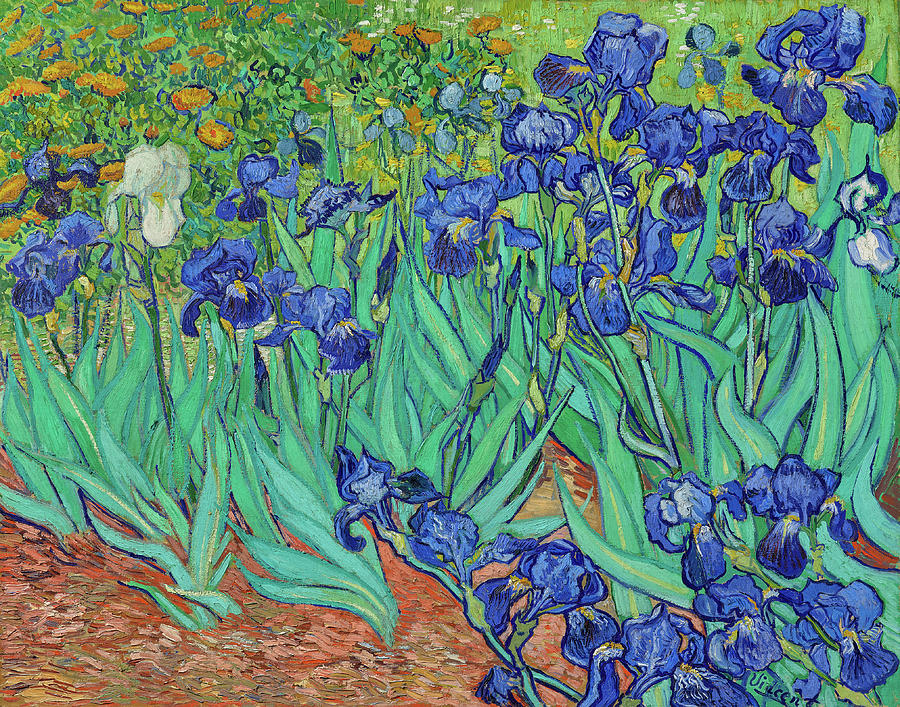 Irises  by Vincent Van Gogh.  #1 Painting by Vincent Van Gogh
