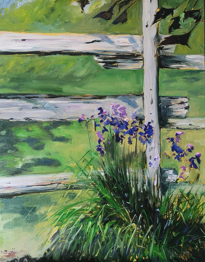 Irises #2 Painting by Sheila Romard
