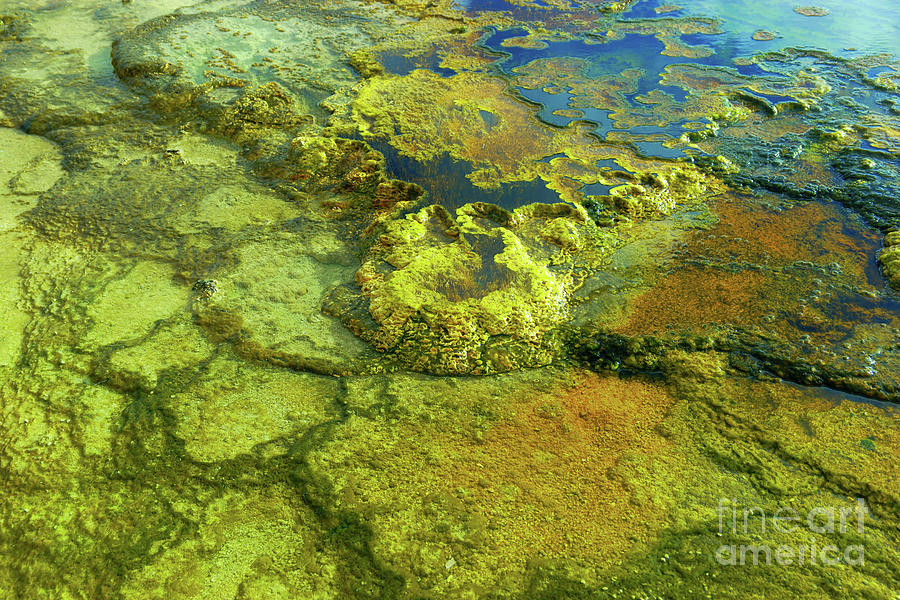 Crazy colors in the hot springs Photograph by Jeff Swan - Pixels