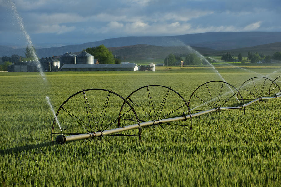 Irrigation system watering crops on farm field #1 Photograph by Pete Saloutos
