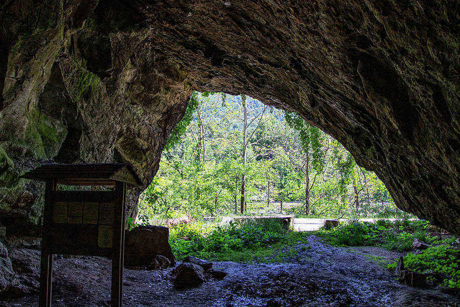 1 Island Ford Cave Jean Haynes 