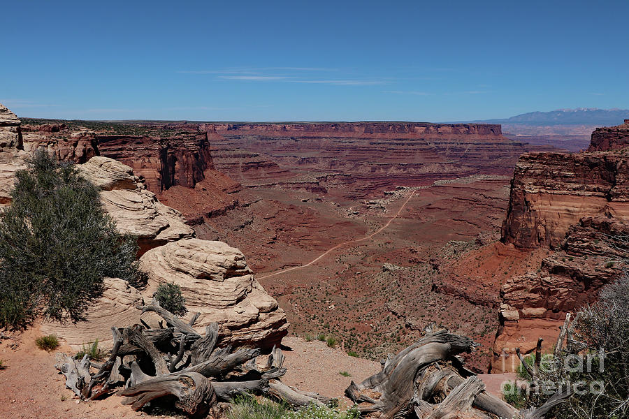 Canyonlands National Park Photograph - Island in the Sky Canyonlands #1 by Christiane Schulze Art And Photography
