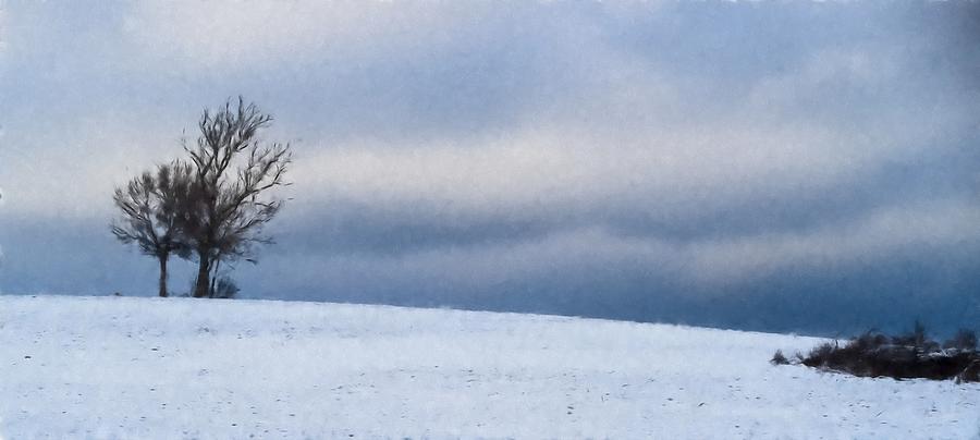 Isolated trees on the crest of a snow-capped volcano #1 Photograph by Jean-Luc Farges