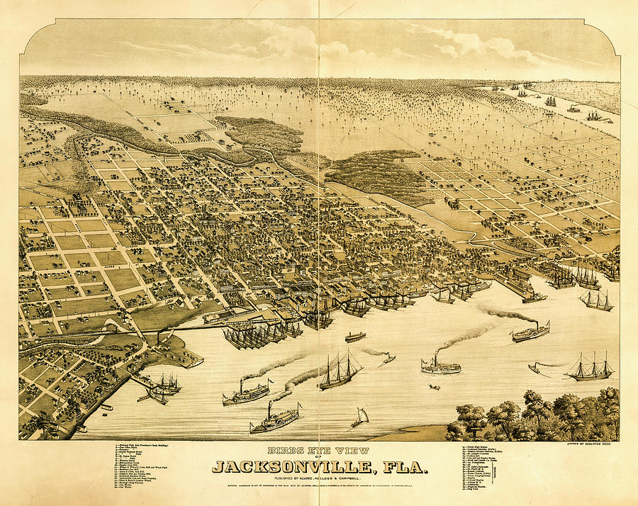 Jacksonville Florida Map 1876 #2 Drawing by Joseph S Giacalone