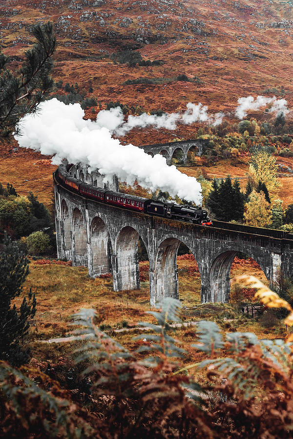 Jacobite Steam Train #1 Photograph by Ha Frankhauser - Fine Art America