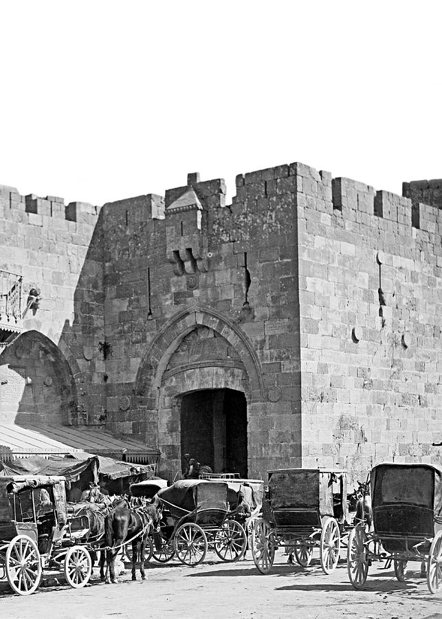 Jaffa Gate Carriages #1 Photograph by Munir Alawi