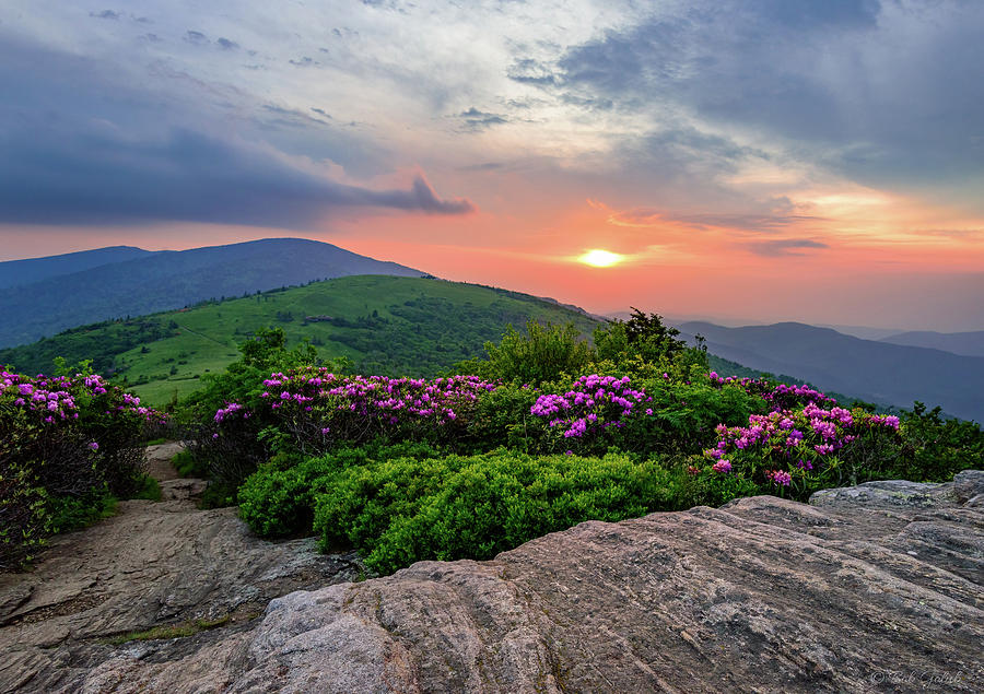 Jane Bald Sunset Photograph by Robert Golub - Fine Art America