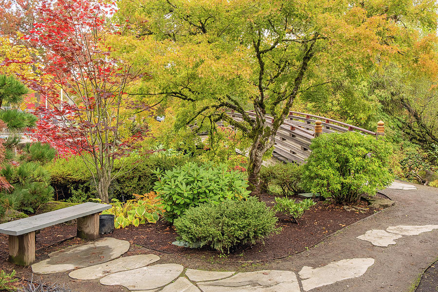 Fall Photograph - Japanese garden in Gresham Oregon. #1 by Gino Rigucci