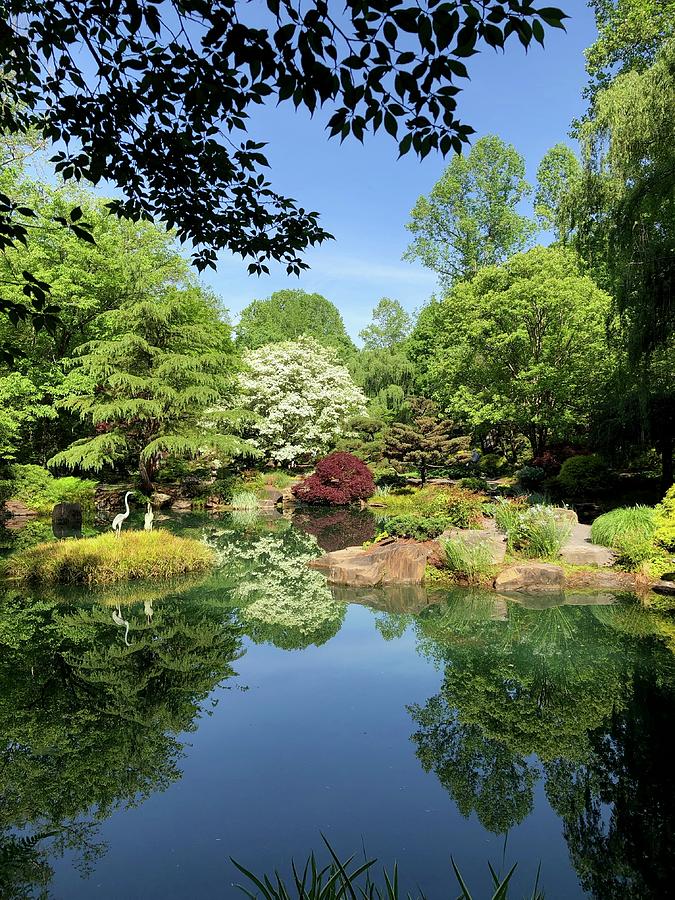 Japanese Garden Photograph by Karenn Reeter - Fine Art America